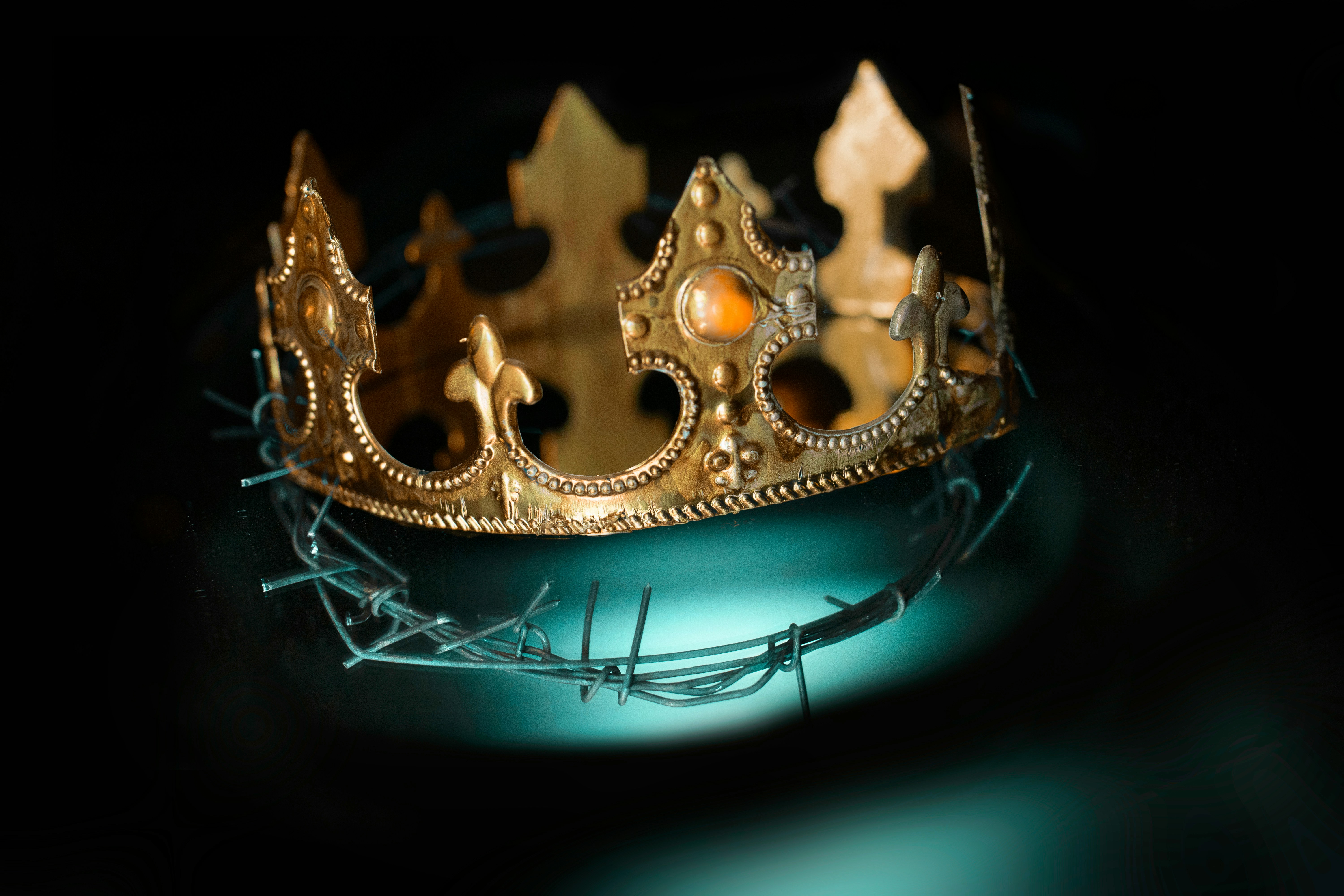 Crown made with barbed wire.
